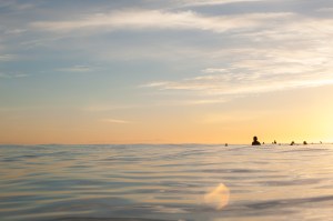 waiting for the great pumpkin